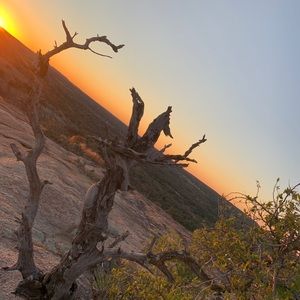 Meet your Posher, Dylan